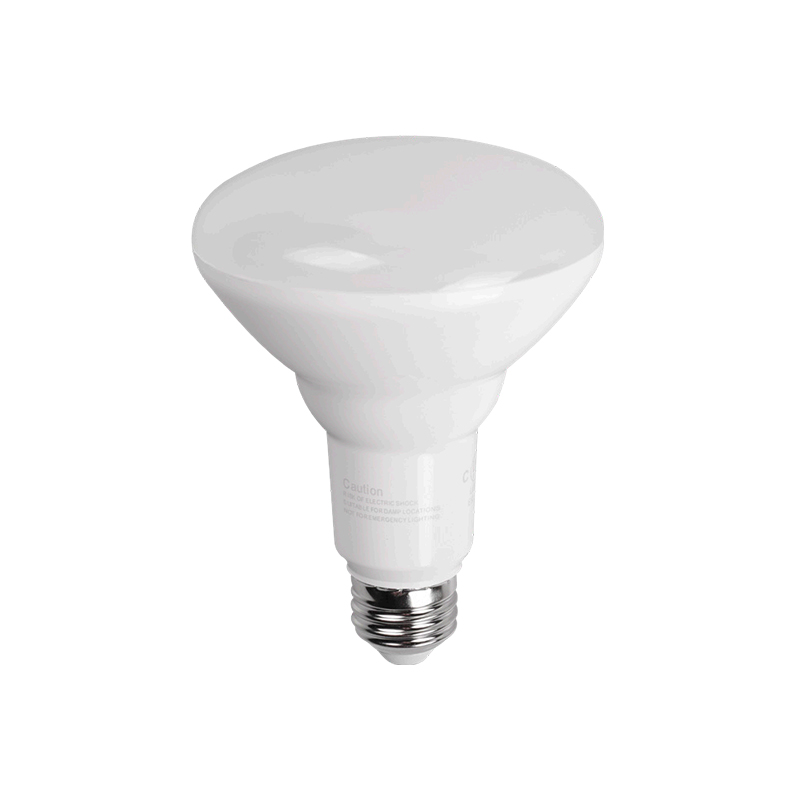 LED Bulb BR30 dan Par38 LED Bulb BR30 dan Par38