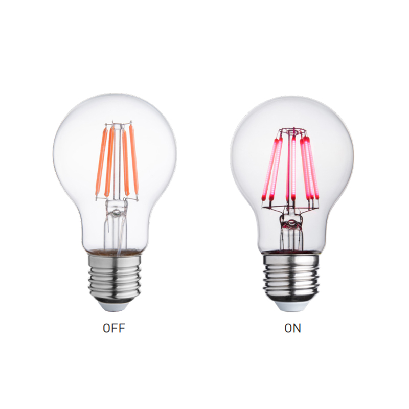 LED Filamen Bulb LED Filamen Bulb