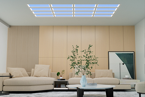 Xin Guang Yuan (Lampu Baru) Lighting Technology Co., Ltd.